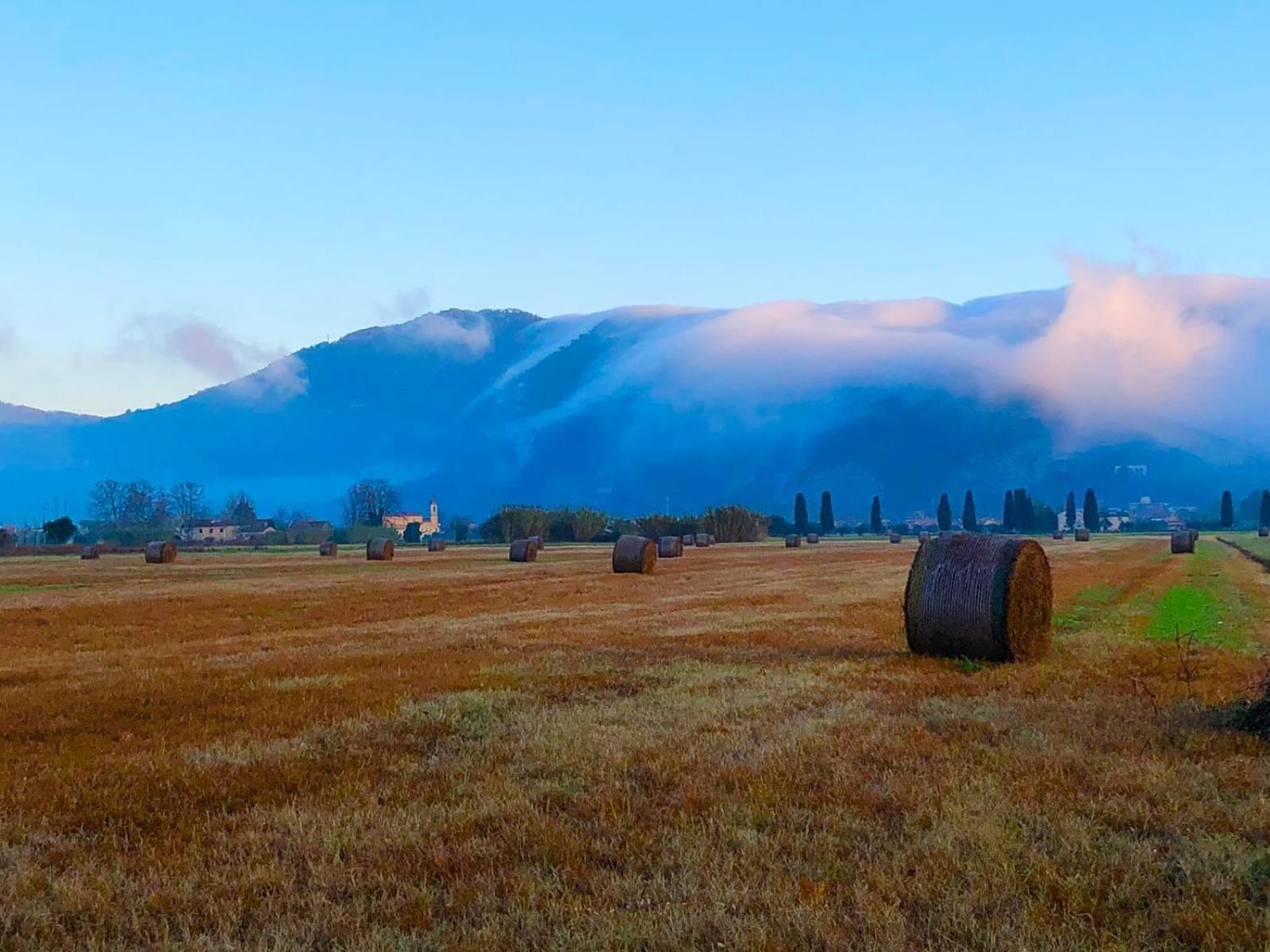 Intero Alloggio Campagna Lucca Capannori Dış mekan fotoğraf